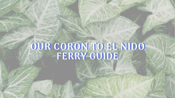 How to cross from Coron to El Nido vv